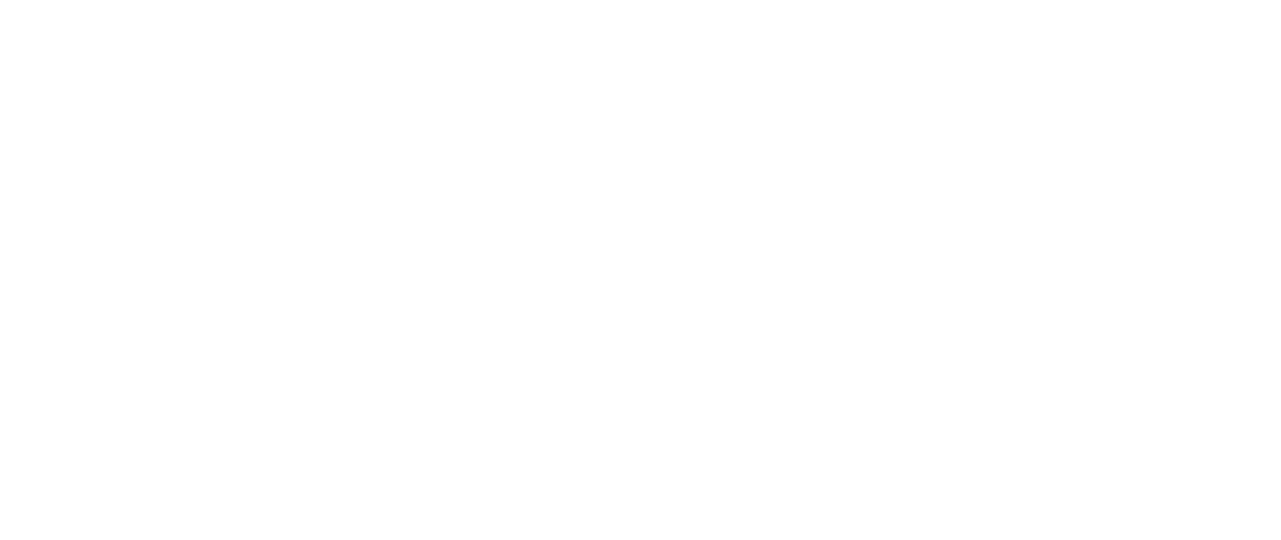 IEEE France Logo