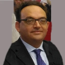 Prof. Sergio Saponara Avatar